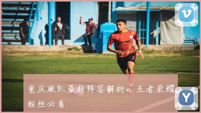 重庆狼队最新阵容解析，王者荣耀粉丝必看